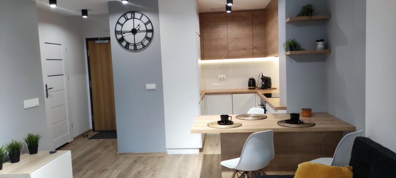 Apartament Przy Fabrycznym Λοτζ Εξωτερικό φωτογραφία